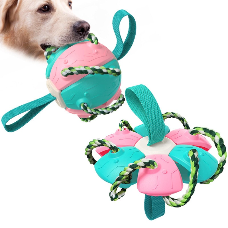 Pelota Fresbee Para Perros
