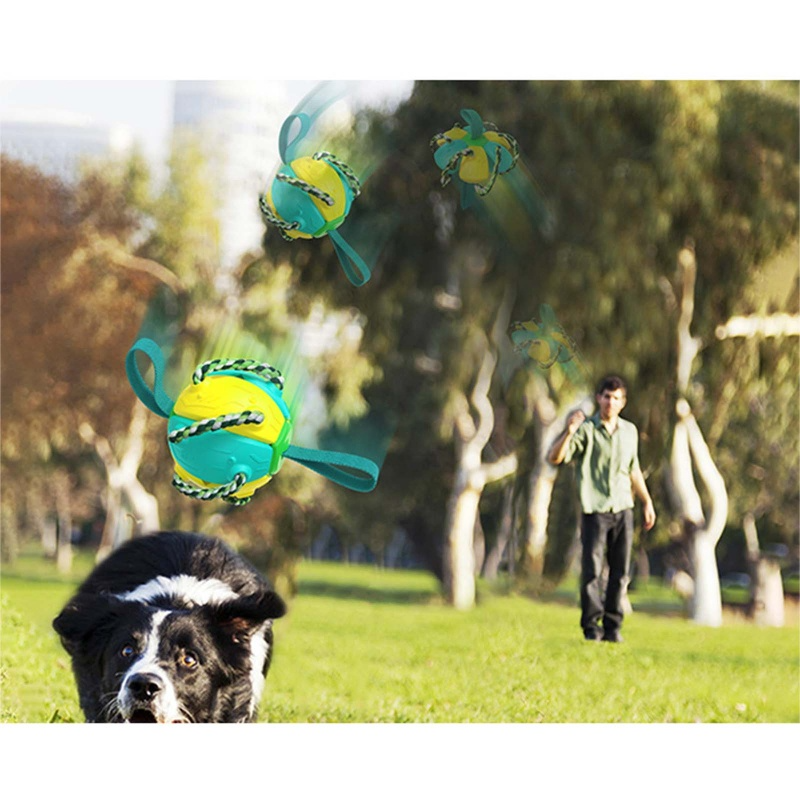 Pelota Fresbee Para Perros
