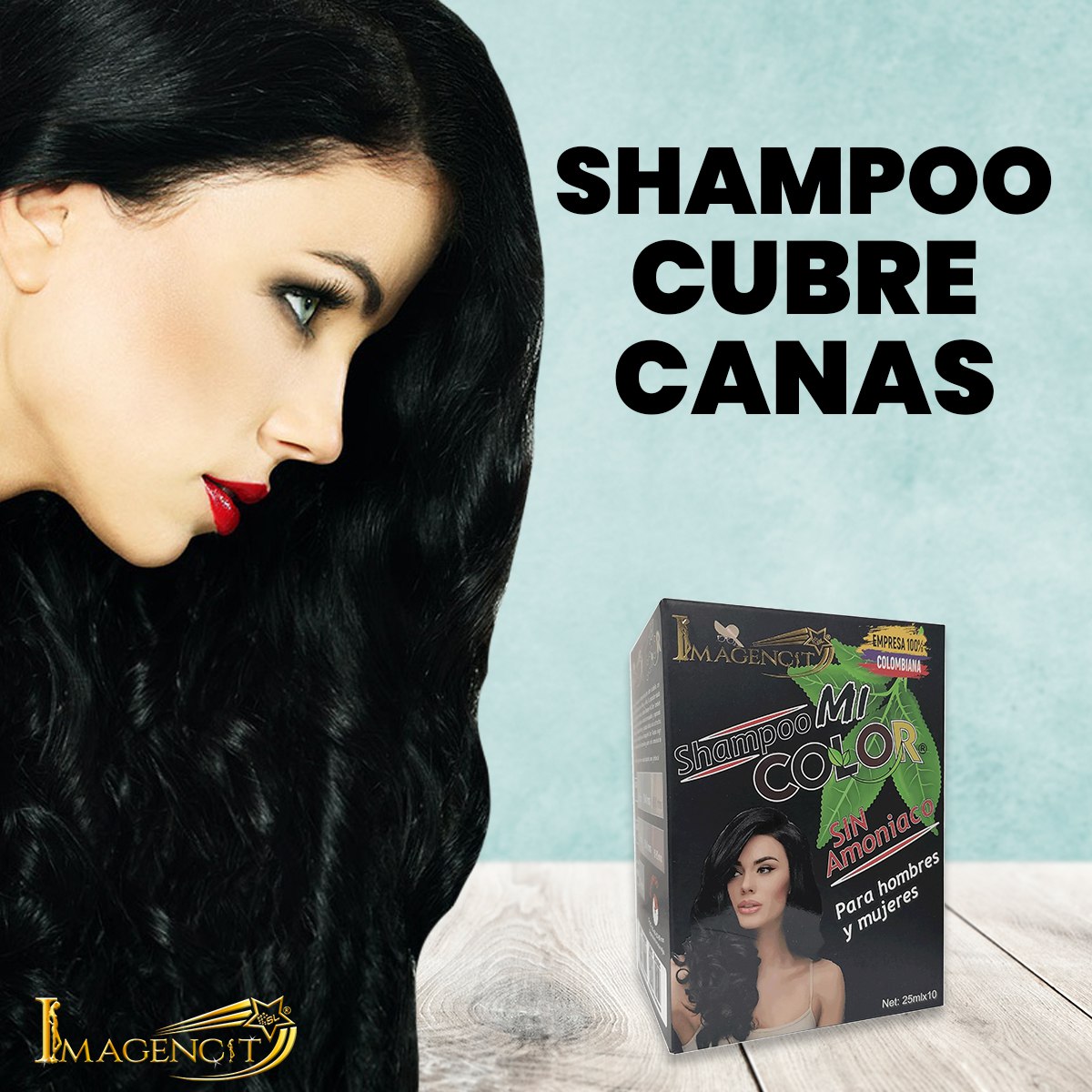 Shampoo Cubre Canas  Negro