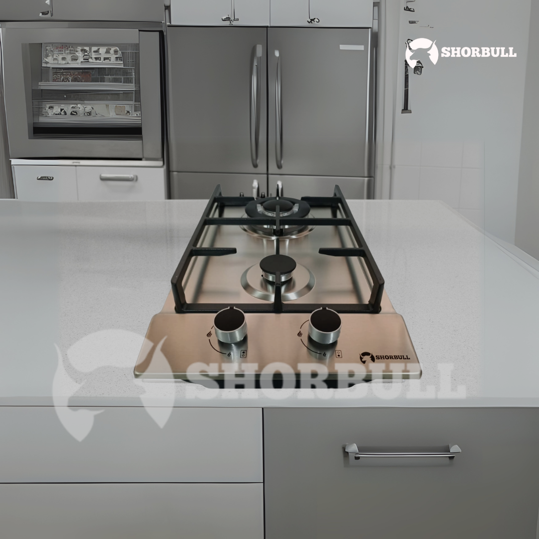 Parrilla Estufa 2 Quemadores Acero Inoxidables